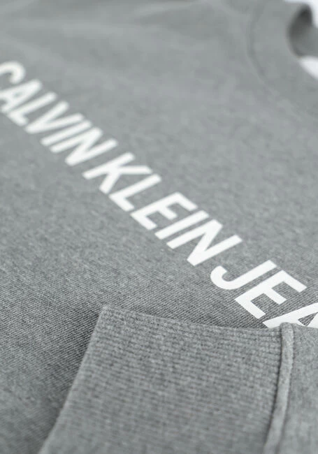Grijze Calvin Klein Sweater Core Institutional L 6 Grijze Calvin Klein Sweater Core Institutional L - Afbeelding 4
