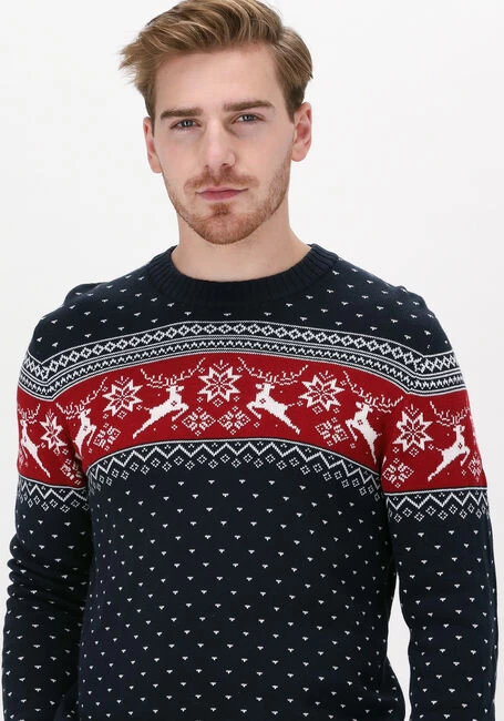 Blauwe Selected Homme Trui Slhnewdeer Ls Knit Crew Neck W 4 Blauwe Selected Homme Trui Slhnewdeer Ls Knit Crew Neck W - Afbeelding 2