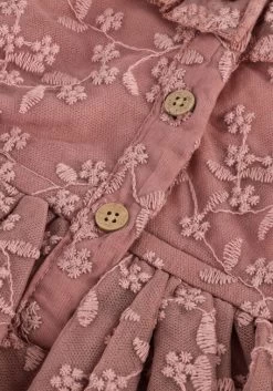 Lil Atelier Roze Lil' Atelier Nbfroa Ls Tulle Dress