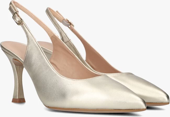 Gouden Unisa Teodor 3 Gouden Unisa Teodor