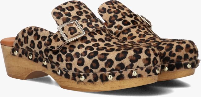 Bruine Red-rag 79608 3 Bruine Red-rag 79608