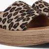 Bruine Notre-v Slippers 816013 -Mode Kledingwinkel 245140 1