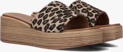 Bruine Notre-v Slippers 816013