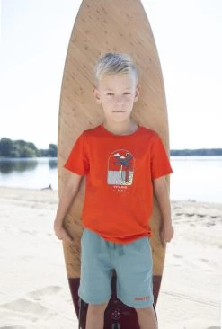 Oranje Moodstreet T-shirt T-shirt With Chest Print