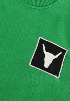 Groene Alix Mini Sweater Baby Knitted Patch Sweater